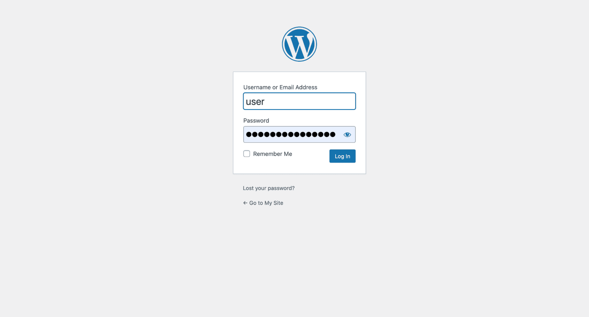 Log in to your new WordPress dashboard.